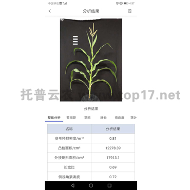 玉米株型分析系统软件界面