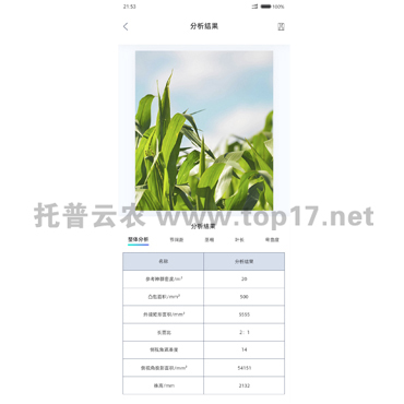玉米株型分析系统软件界面