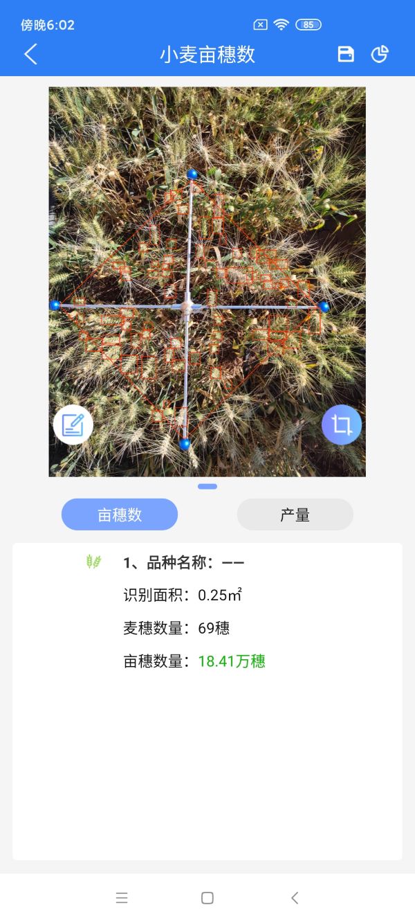 小麦亩穗数测量系统