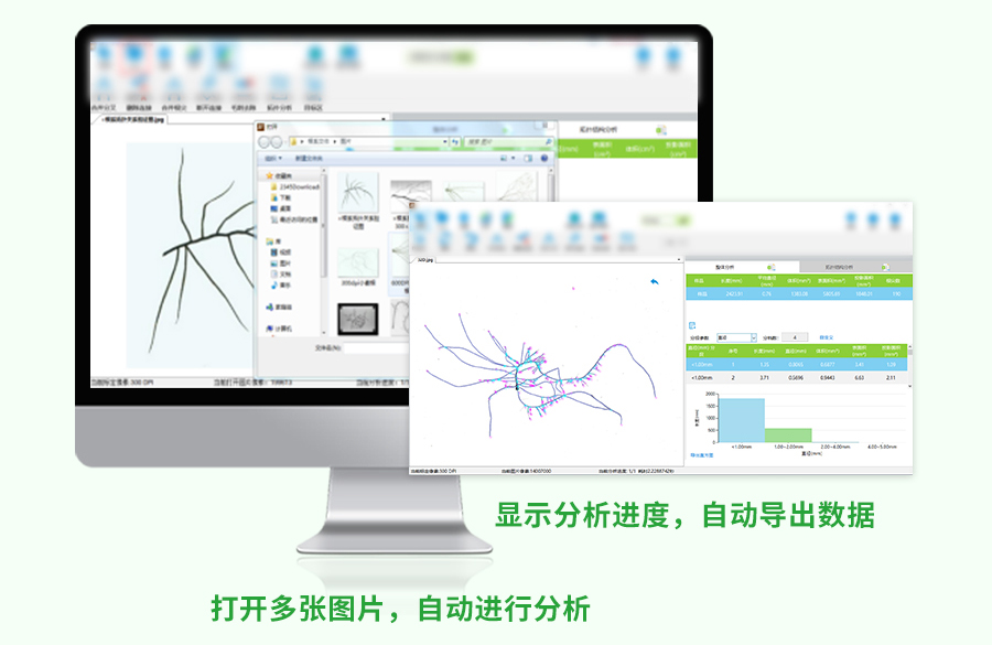 植物根系扫描系统