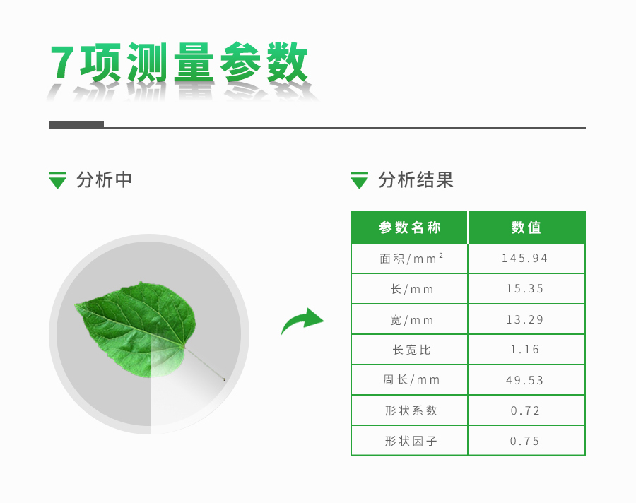 活体叶面积测量仪